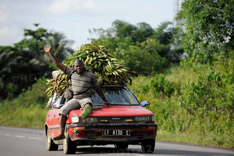 Bananas being transported on a car