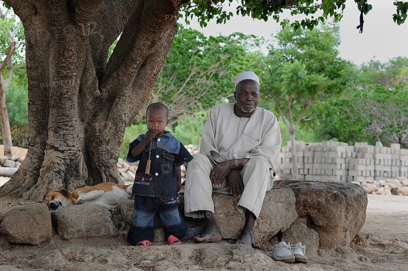 An elderly man and a child under a tree