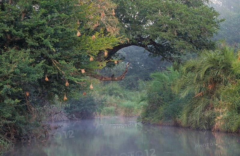 River landscape in the southern Kruger National Park