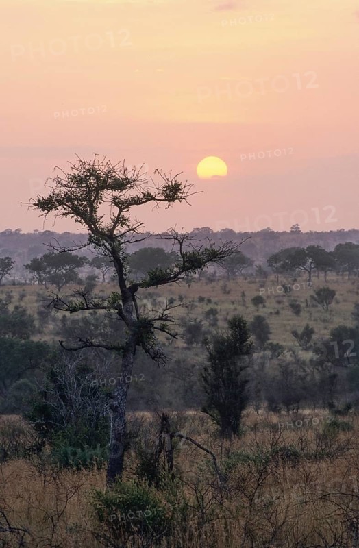 River landscape in the southern Kruger National Park