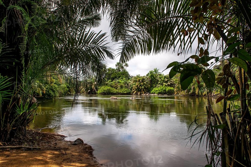 Tiwai Island Wildlife Sanctuary on an island in the Moa River