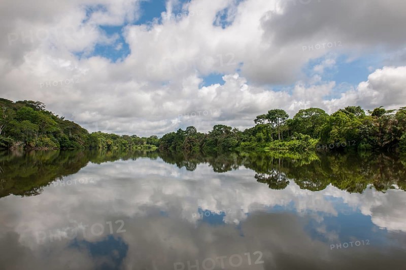 Tiwai Island Wildlife Sanctuary on an island in the Moa River