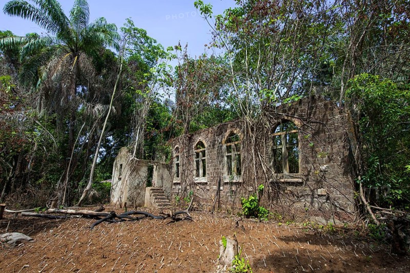 Ruins of an old church from the colonial period being overgrown by the jungle with a manioc or cassava field at the front