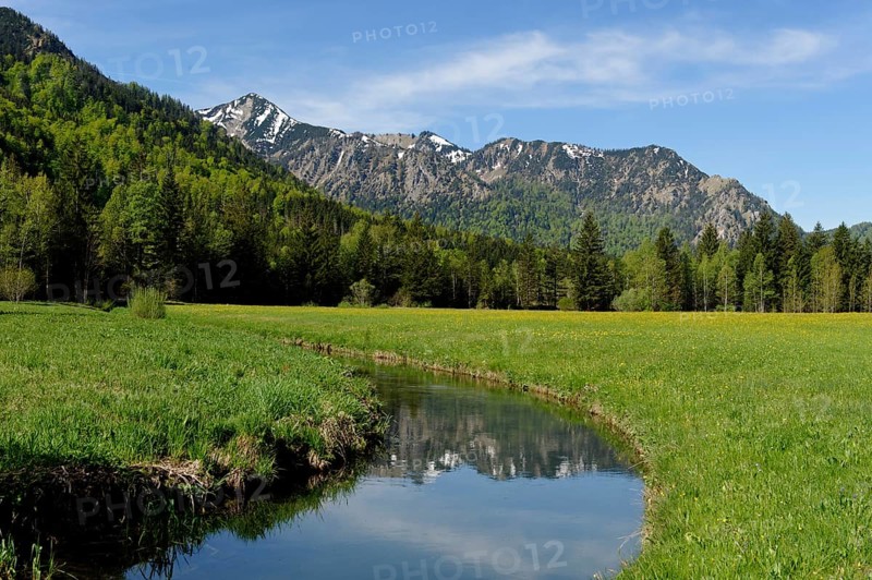 Landscape near Aurach in the Leitzachtal valley in spring