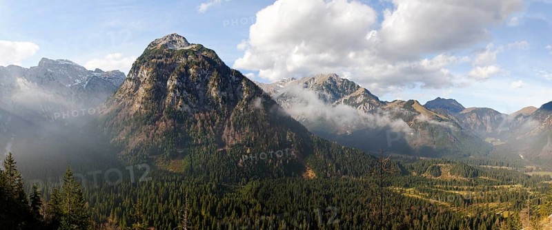 Dristlkopf