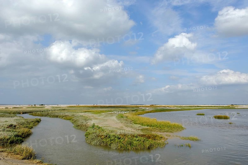 Le Hourdel at the mouth of the Somme River