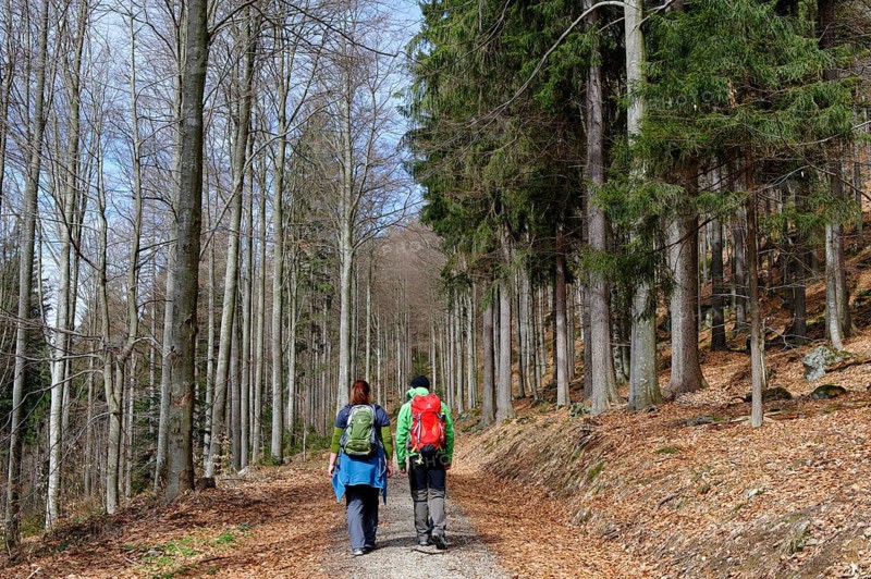 Hikers on the way to the Hennenkobel