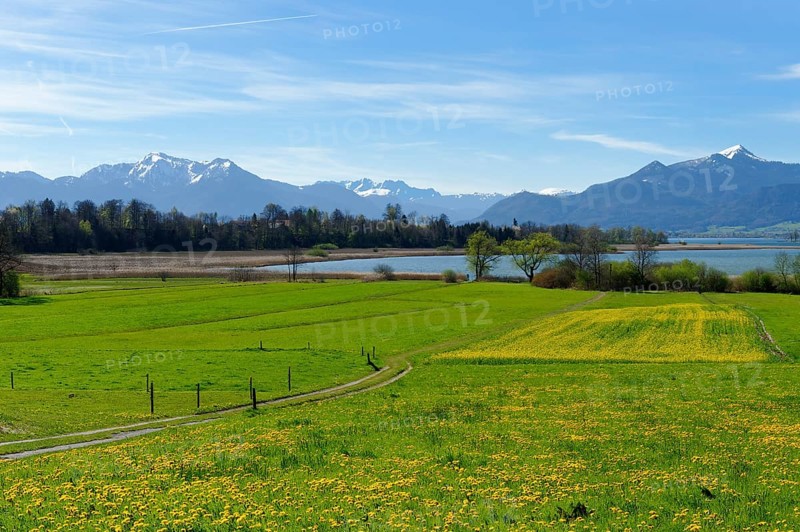 Spring at Lake Chiemsee Schafwaschener Bucht bay off Mt. Hochgern