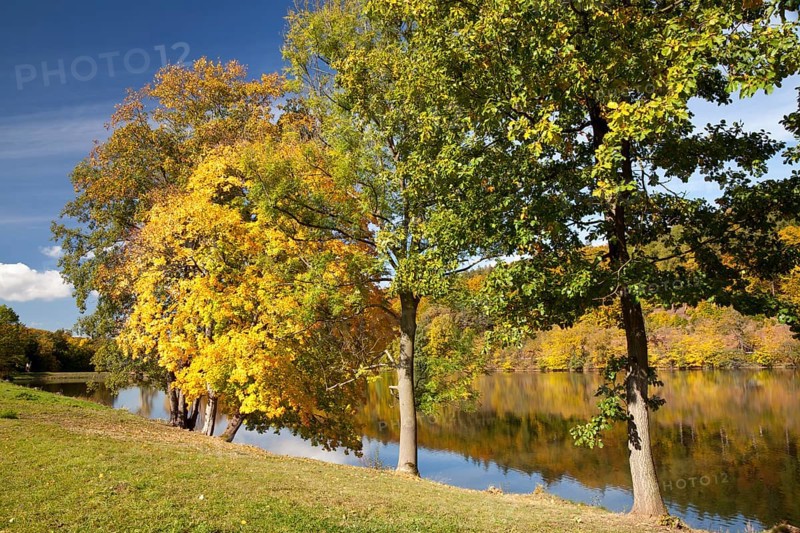 Autumn forest on Wilhelmsthaler Lake in Wilhelmsthal