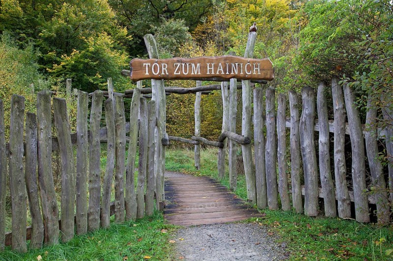 Tor zum Hainich'