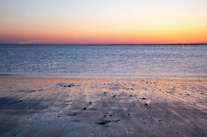 Coast in the evening light