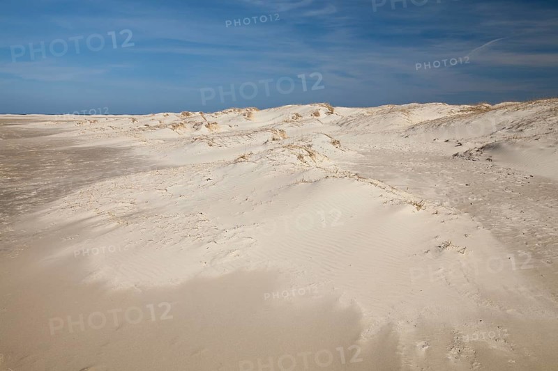 Sand dunes at Nordstrand beach