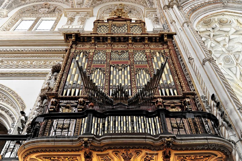 Organ