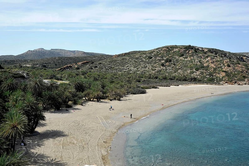 Palm beach of Vai with Cretan Date Palms (Phoenix theophrasti)