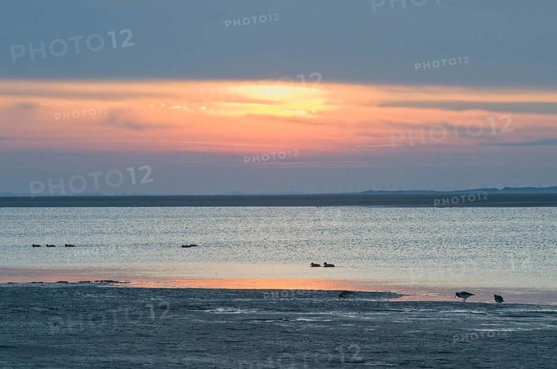 Sunset over the Wadden Sea