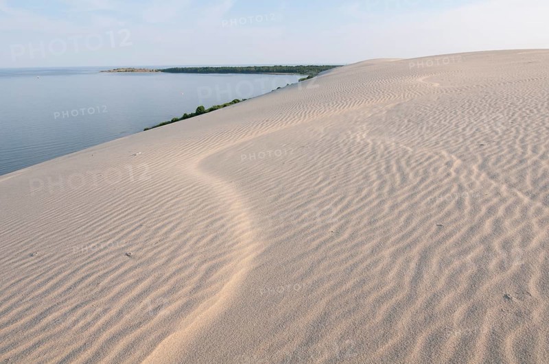 Wandering dune
