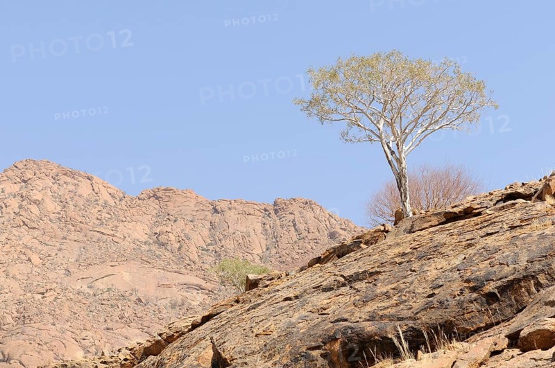 Mountain landscape along a trail to the White Lady rock painting in the Tsisab Gorge