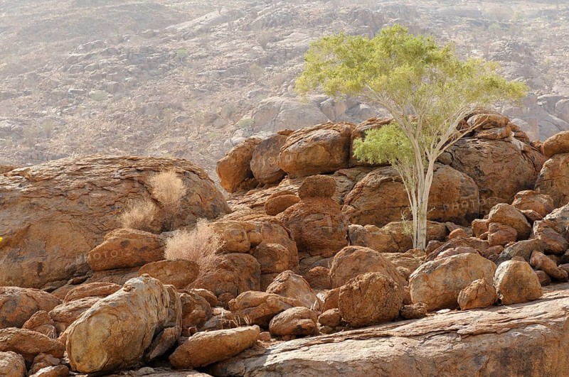 Mountain landscape along a trail to the White Lady rock painting in the Tsisab Gorge