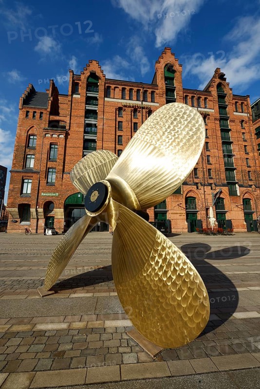 Ship's propeller