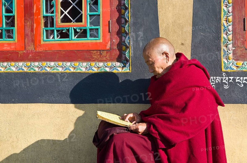 Tibetan monk reading the holy scriptures at the foot of Boudnath Stupa