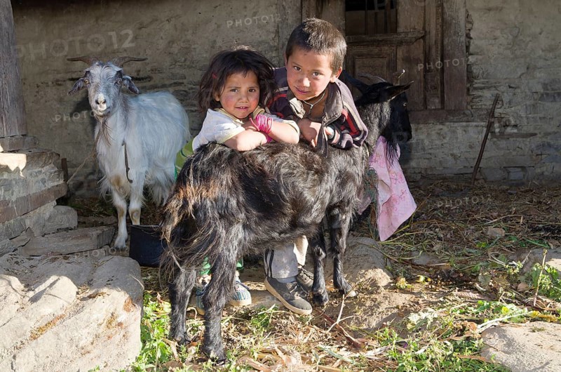 2 local children taking care of their goats