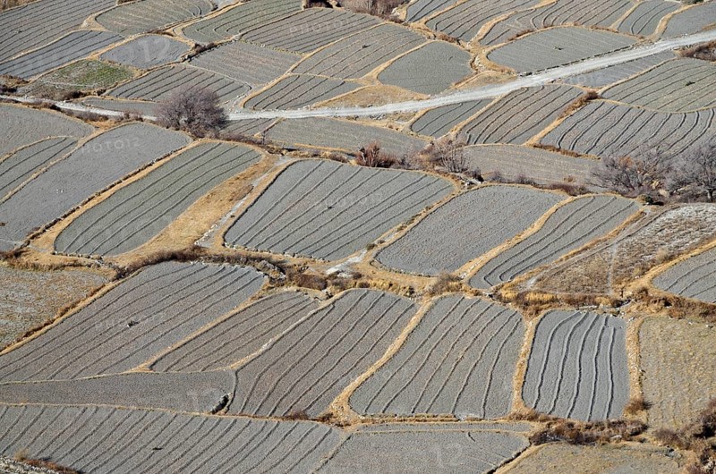 Agricultural used fields around Kaghbeni