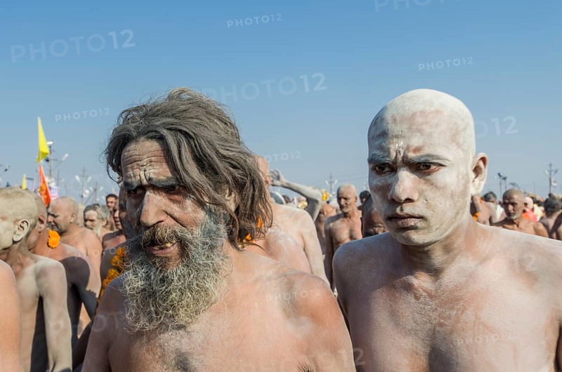 Crowds of naked Naga sadhus