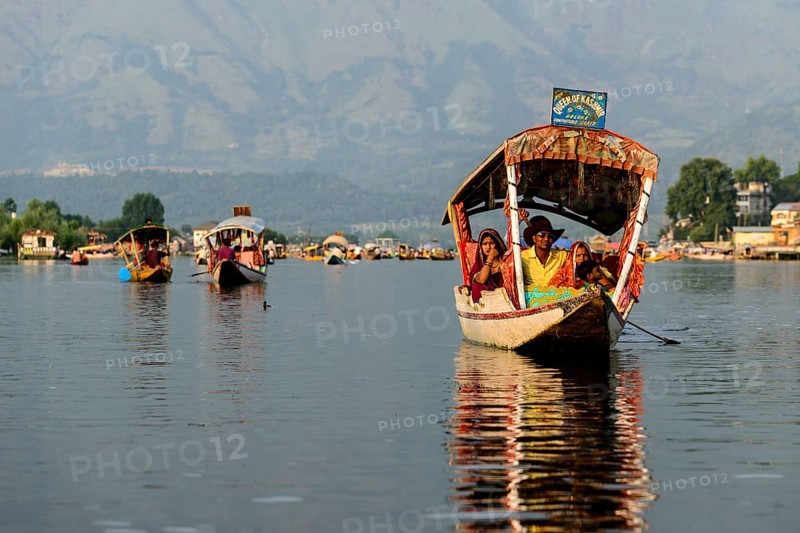 Shikara boats on Dal Lake
