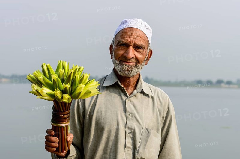 A local man holding a bunch of water lilies (Nymphaeaceae)