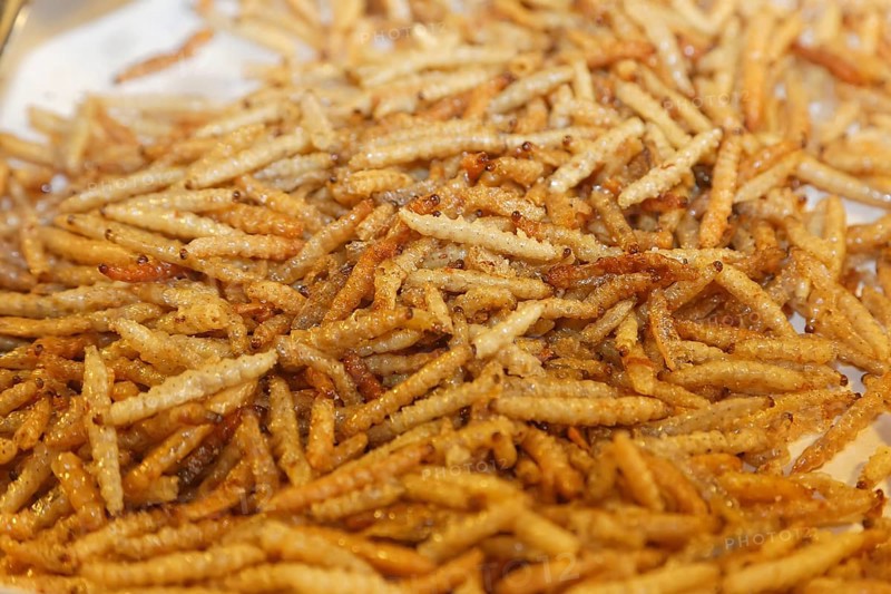 Fried maggots at a Thai market
