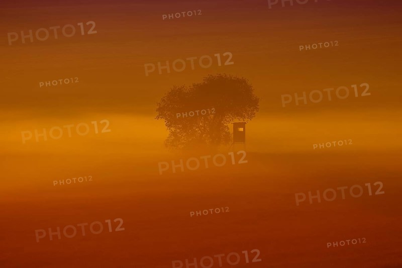 Raised hide in the morning fog at sunrise