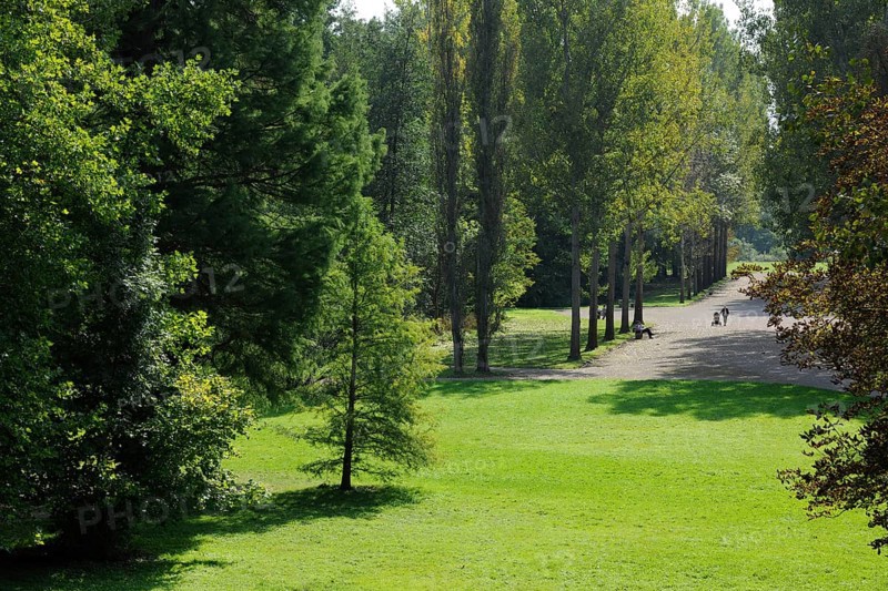 Park on the Ilm