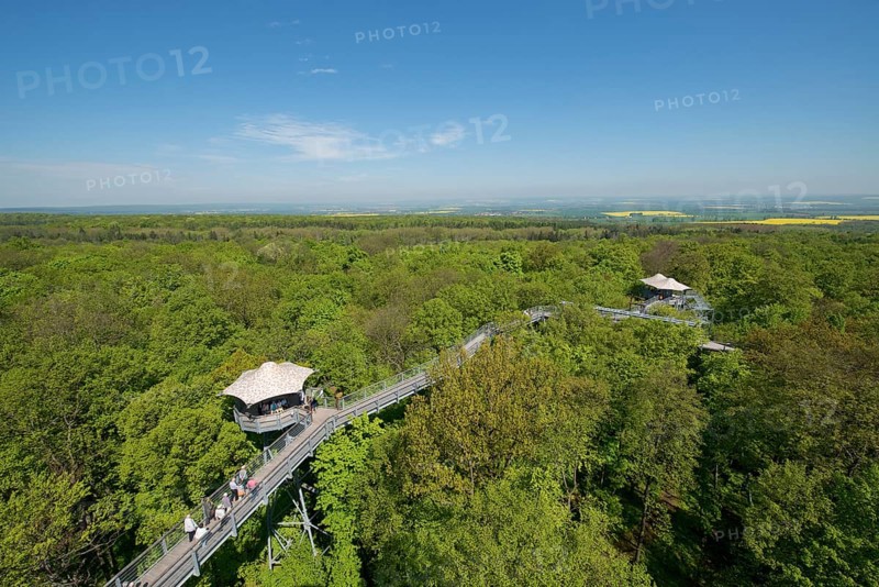 Baumkronenpfad or Canopy Walk Way in the spring forest