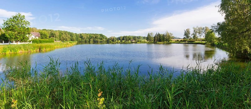 Pond