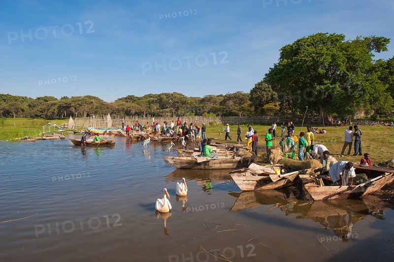 Boats at the fishing harbor