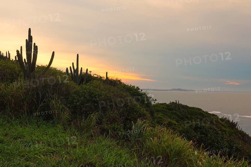 Coastal landscape
