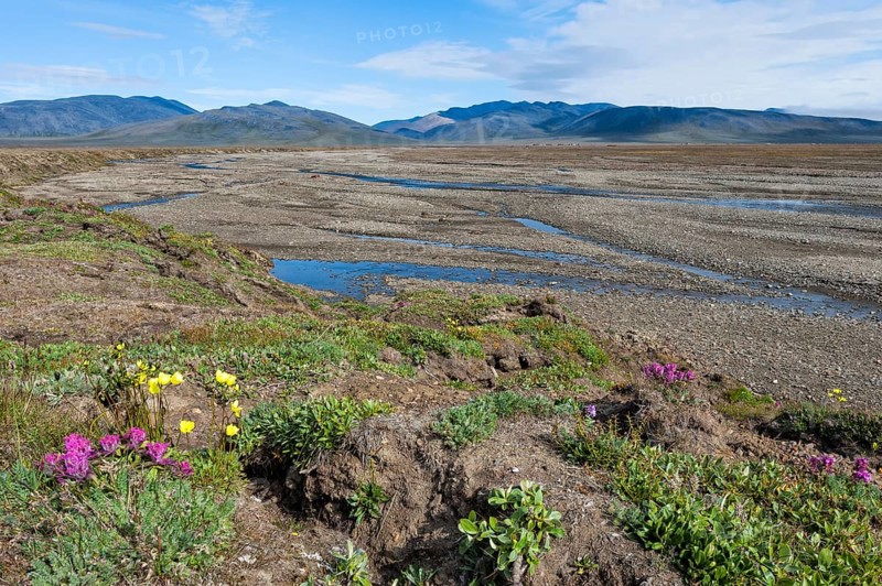 Riverbed