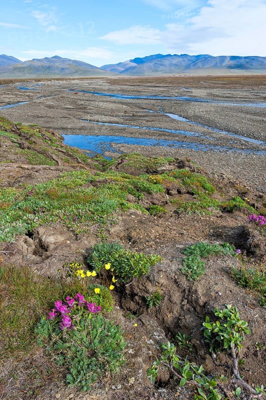 Riverbed