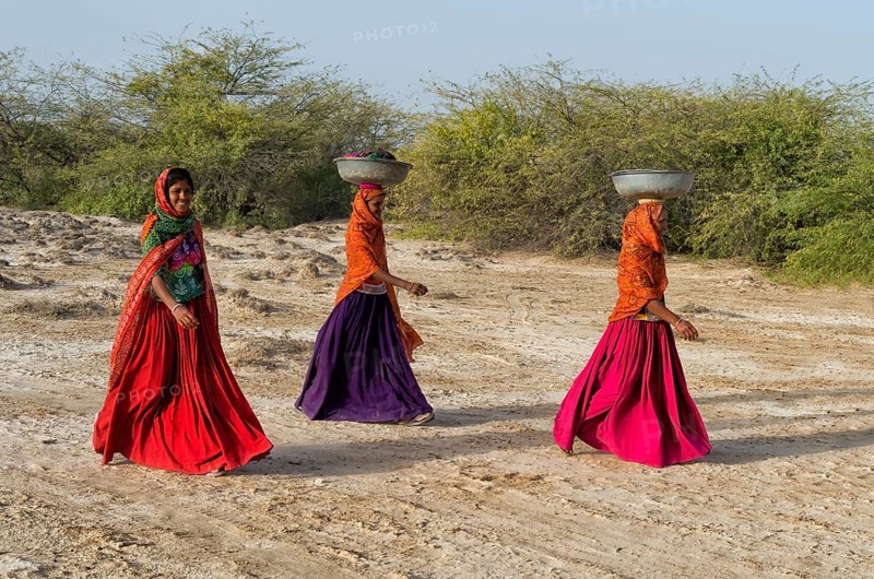 Fakirani women in traditional colorful clothes walking in the desert with a basin on their head