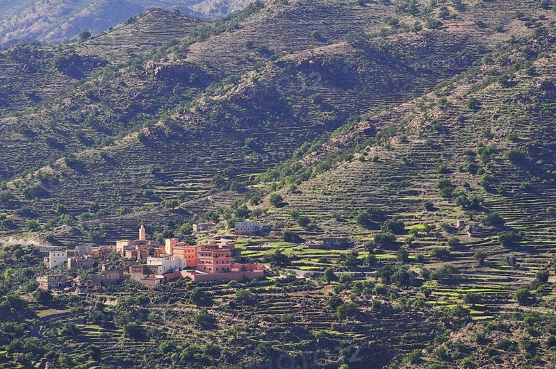 Village surrounded by terraced fields