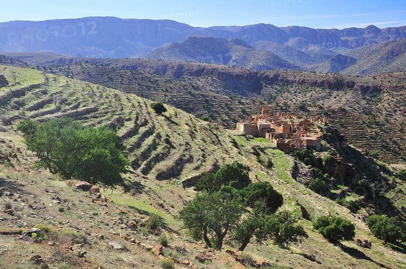 Terraced fields