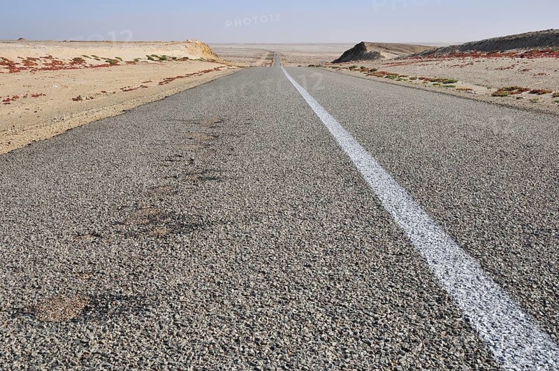 Paved country road in Western Sahara