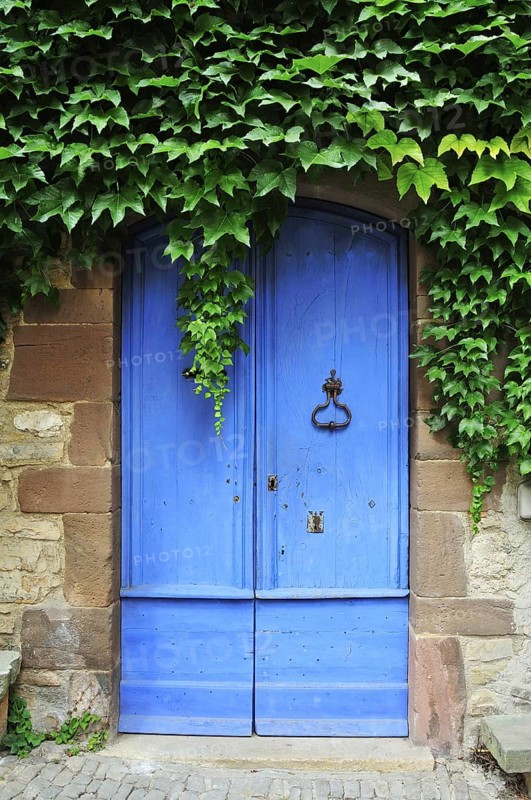 Blue door with ivy
