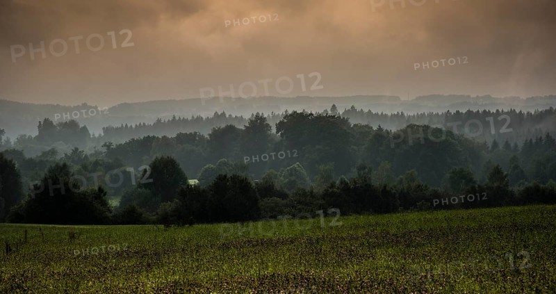 Hilly landscape with a forest and meadows