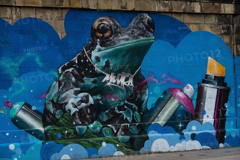 Frog graffiti