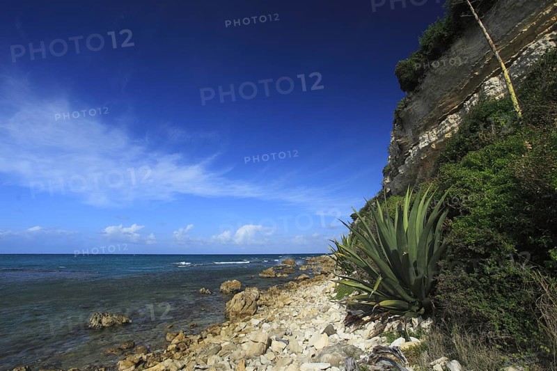 Rocky coast