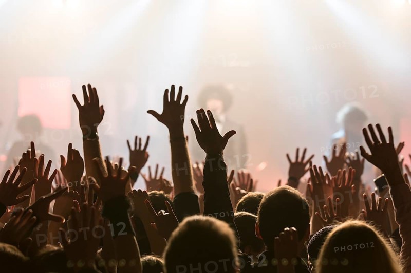 Concertgoers stretching their hands in the air at the concert of the Swiss pop band Pegasus