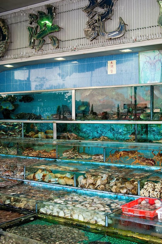 Glass tanks in a restaurant with fish and seafood
