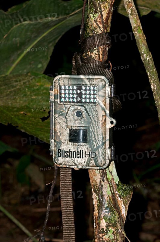 Bushnell Trophy Cam HD camera trap to record wildlife