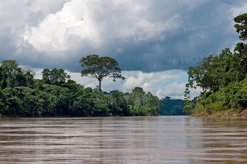 Landscape at the Tambopata River